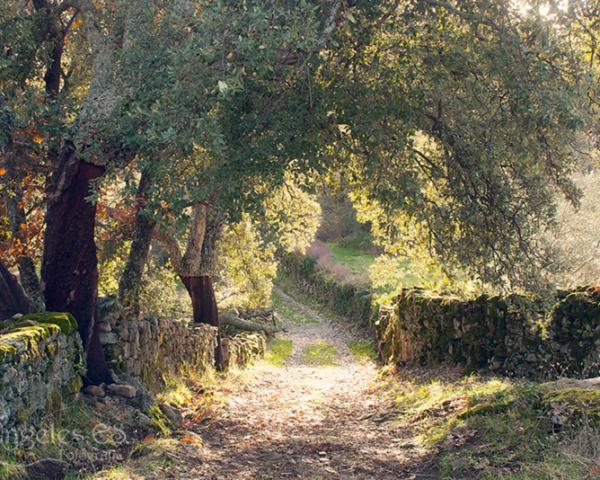 Apartamento Jalama 2B Moraleja Εξωτερικό φωτογραφία
